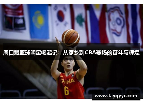 周口籍篮球明星崛起记：从家乡到CBA赛场的奋斗与辉煌
